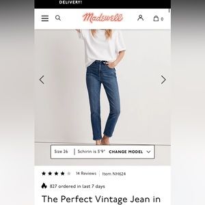 Madewell Perfect Vintage Jean